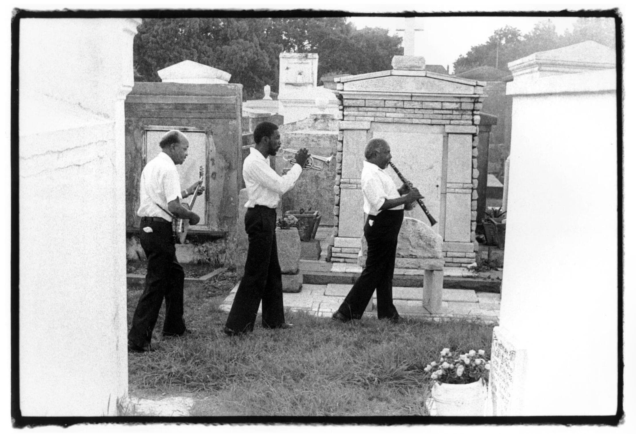 St. Louis Cemetery II, New Orleans — Frank Stewart